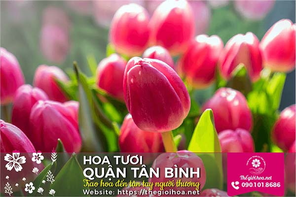 Shop hoa tươi Tân Bình nổi tiếng khắp Việt Nam