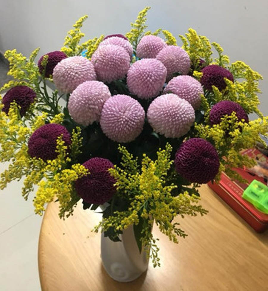 Hoa pingpong