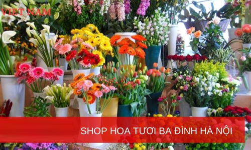 Shop hoa tươi quận Ba Đình Hà Nội chuyên cung cấp hoa đẹp giá rẻ, giao nhanh 